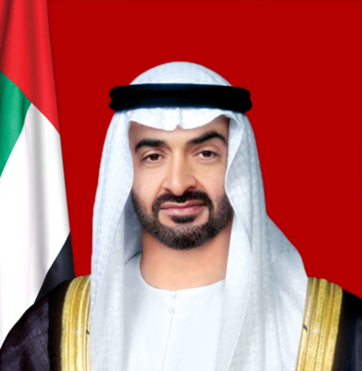 UAE President Pardons Man After Cybercrime Conviction