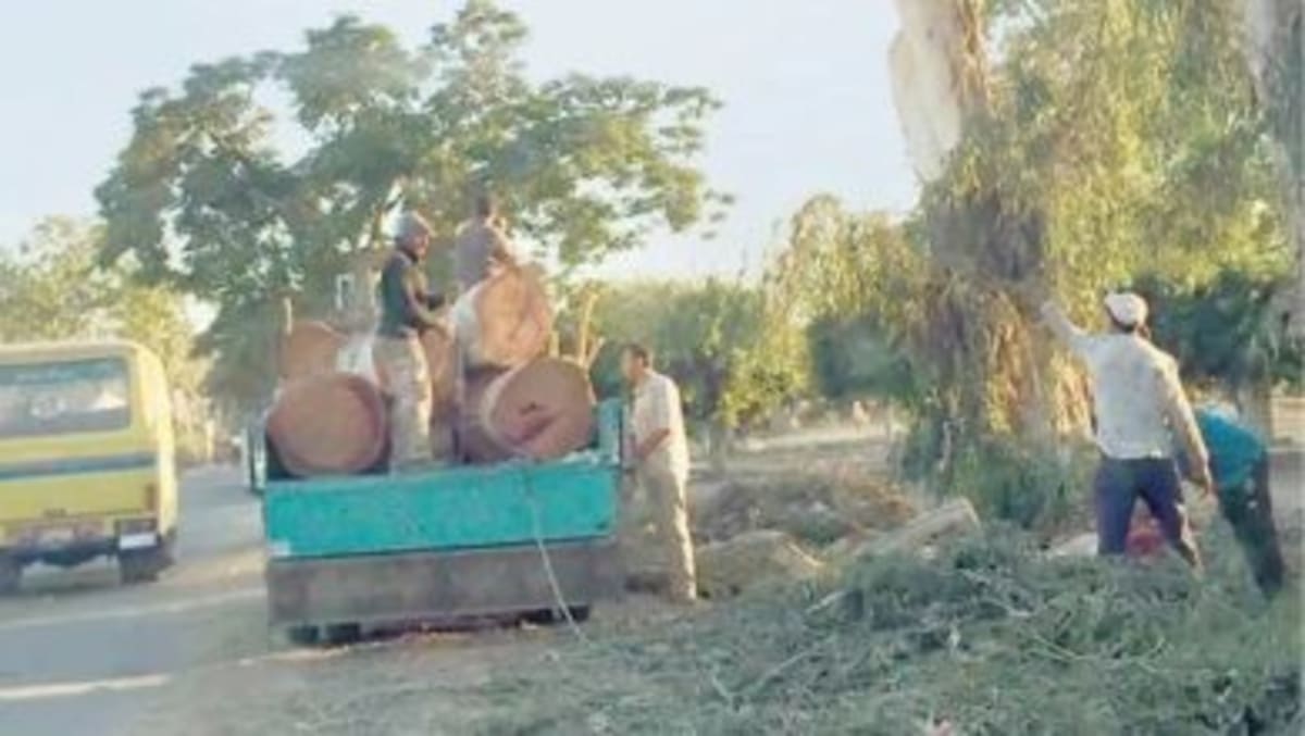Lebanon Returns 37 Ancient Egyptian Artifacts After 6 Years - Image 4