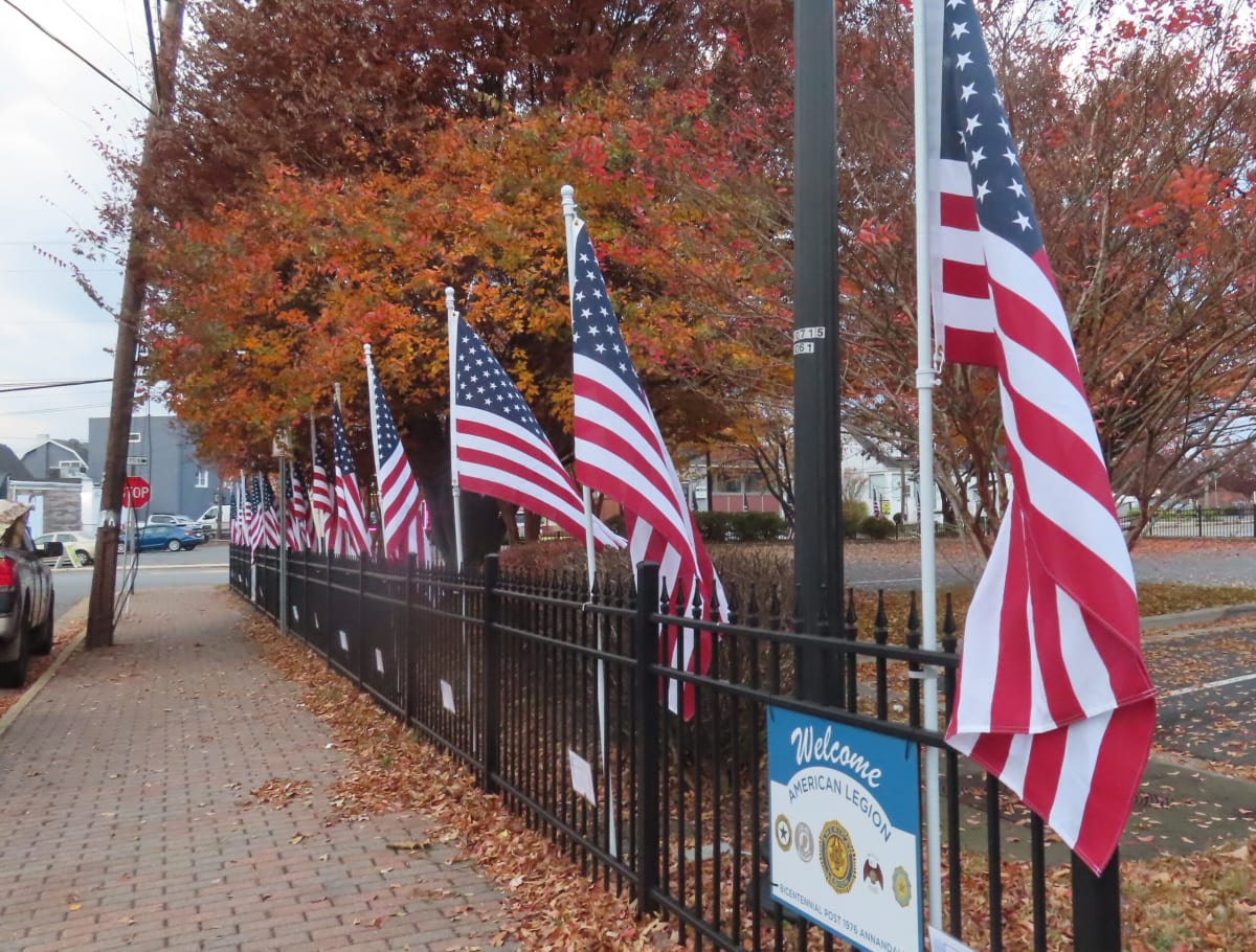 Annandale Plants 250 Flags to Honor Community Heroes