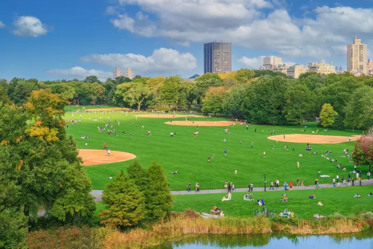 Central Park Hosting 50K for World Cup Final Watch Party - Image 3