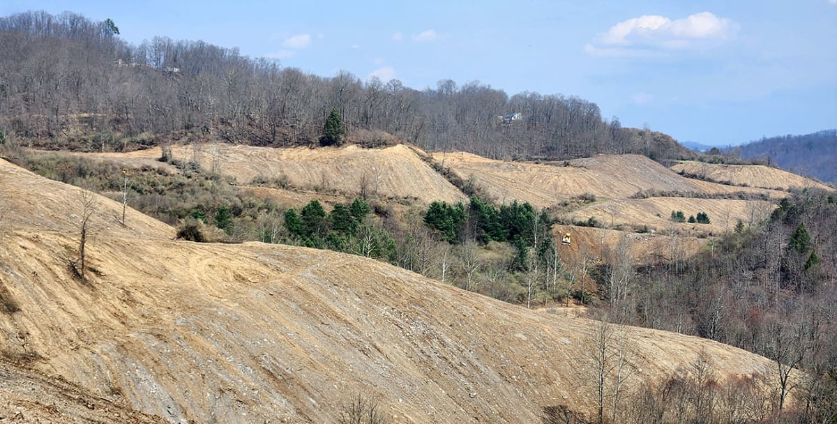 Virginia Town Turning Old Mine Into Forest With Community