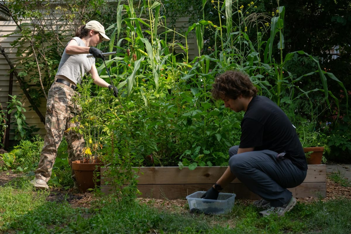 U of M Tests Soil Safety After Winter Tear Gas Use - Image 2