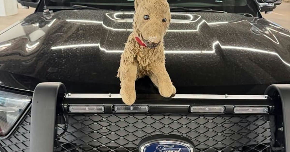 Stuffed dog toy sitting on police car hood at Minneapolis-St. Paul International Airport