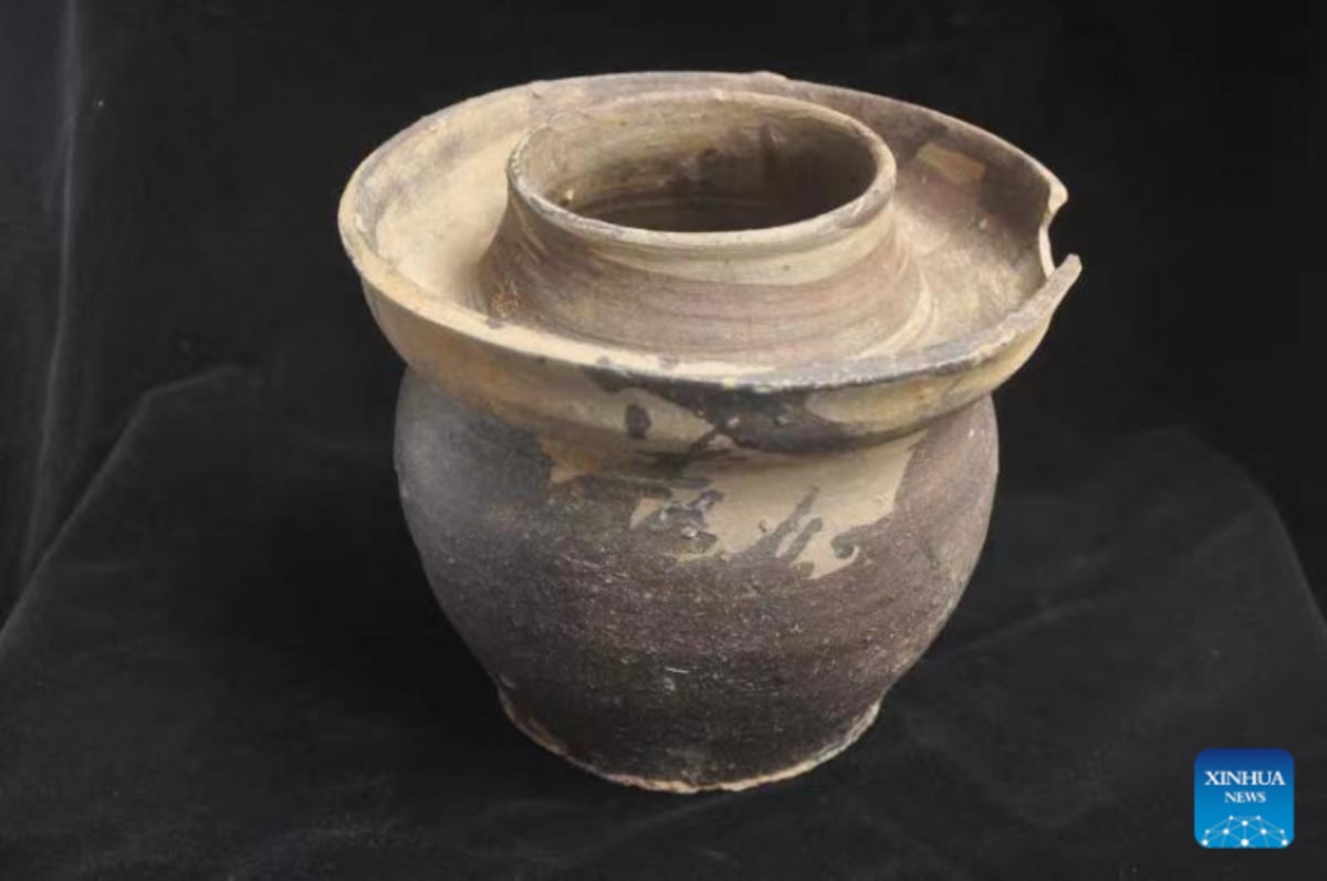 Ancient Spanish Brick May Rewrite Cavalry History by 100 Years - Image 5