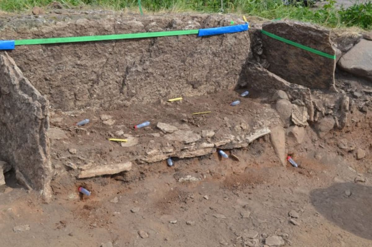 2,400-Year-Old Oak Structure Found Under German River - Image 5