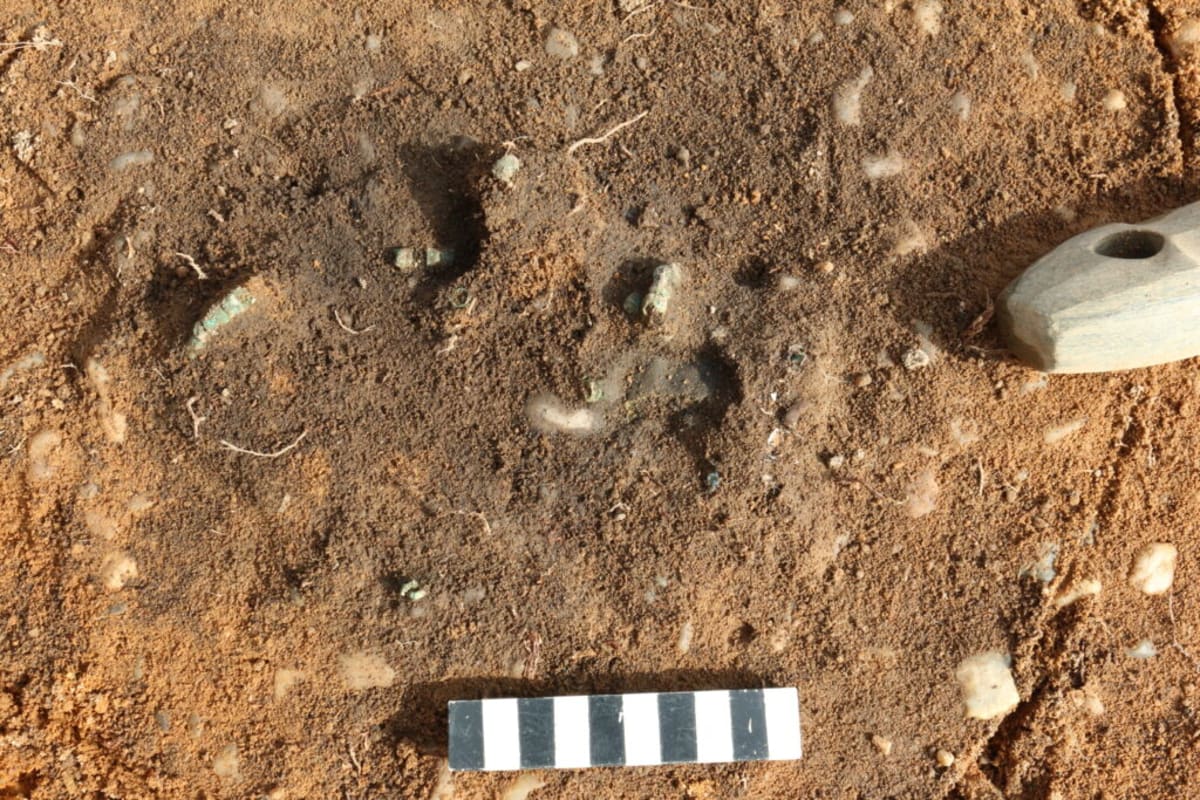 Germany Unearths 4,500-Year-Old Copper Jewelry in Rare Find - Image 4