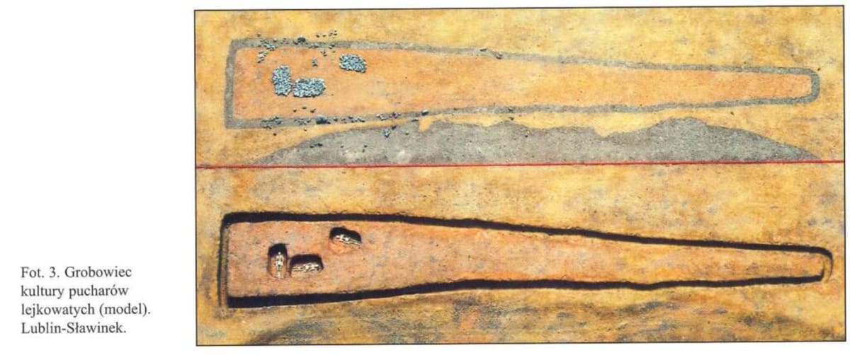 Poland Uncovers 6,000-Year-Old Wooden Tomb in Lublin - Image 5