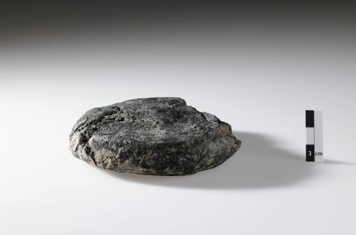 Archaeologists carefully handle a small round piece of carbonized Roman bread from ancient Switzerland