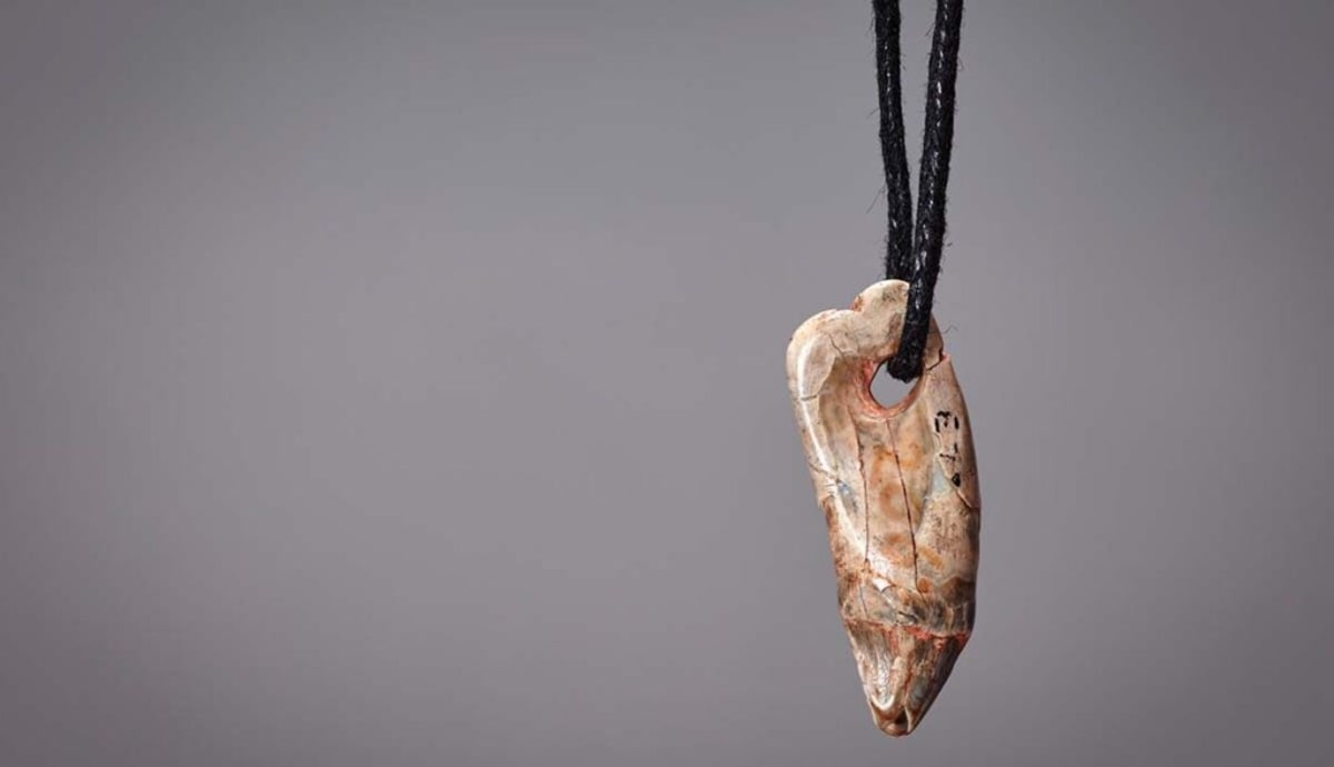 15,000-Year-Old Seal Pendant Rewrites Ice Age History - Image 3
