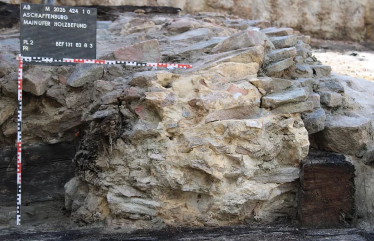2,400-Year-Old Oak Structure Found Under German River - Image 2