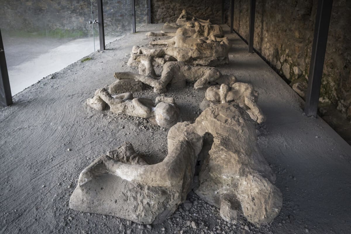Ancient Doctor's Medical Kit Found in Pompeii Victim's Cast - Image 4