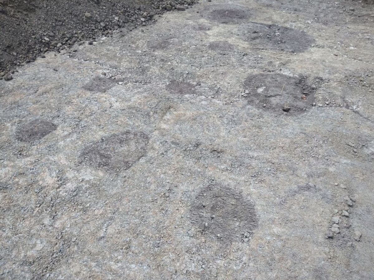 Lost Medieval Village Found Beneath German Farmland - Image 4