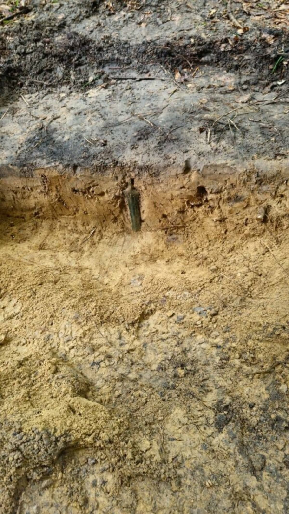 Metal Detectorist Finds 2,700-Year-Old Sword in Poland - Image 2