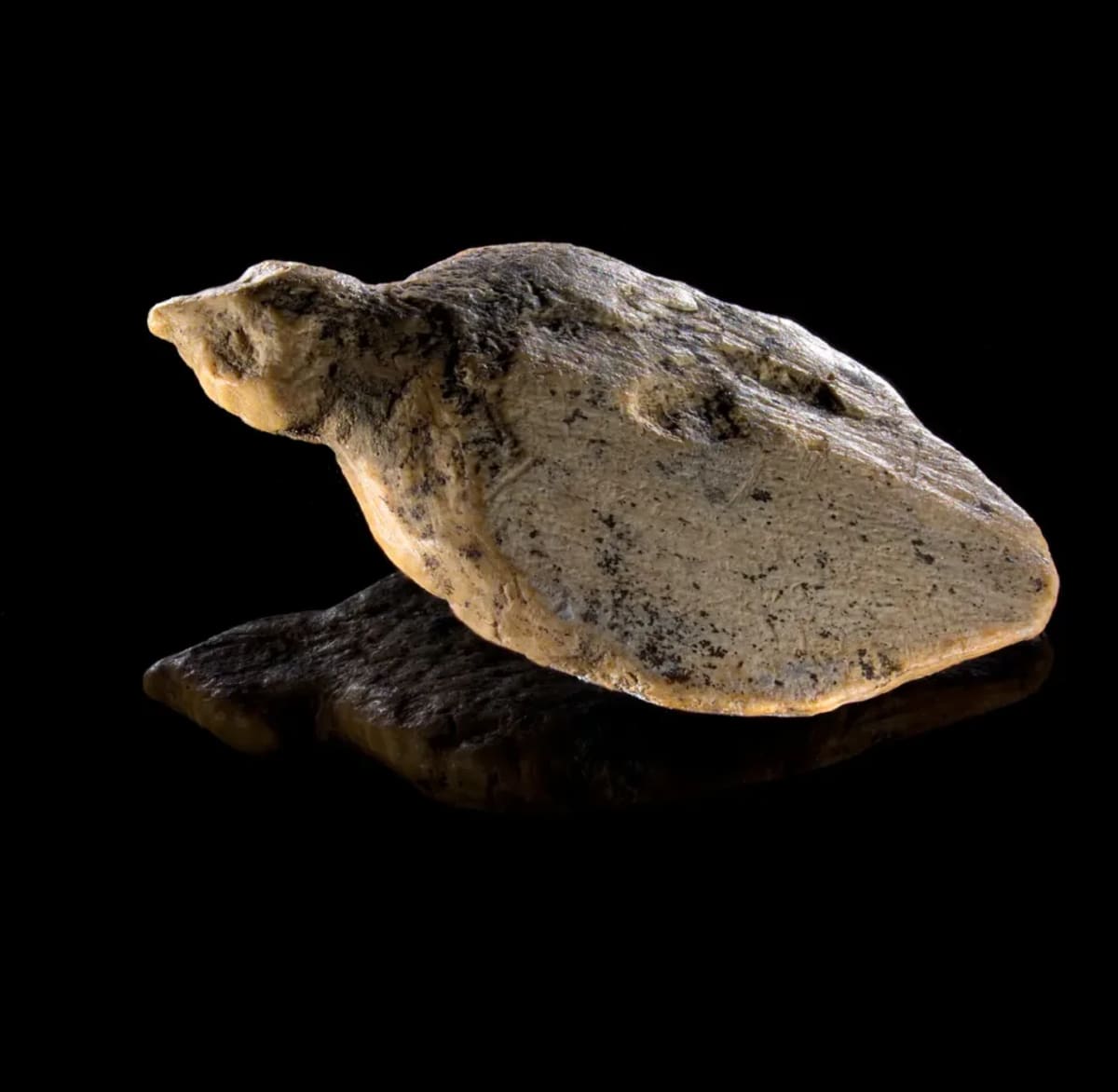40,000-Year-Old Ivory Birds Found in German Cave - Image 3