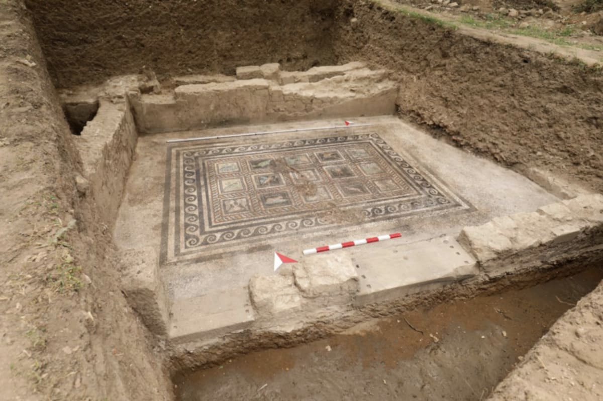Ancient Roman mosaic showing cat with inscription meaning Emerald from Turkish villa excavation
