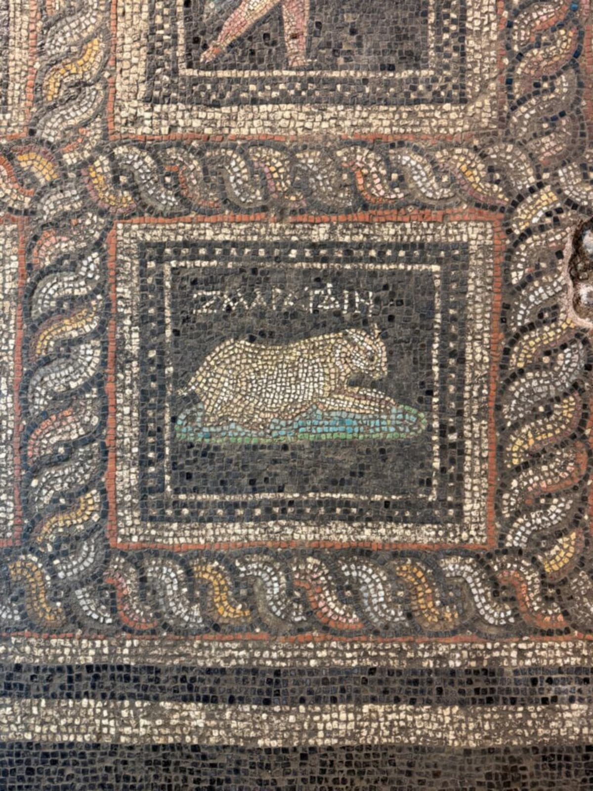 Roman Mosaic Names 1,800-Year-Old Pets Emerald and Ocean - Image 2