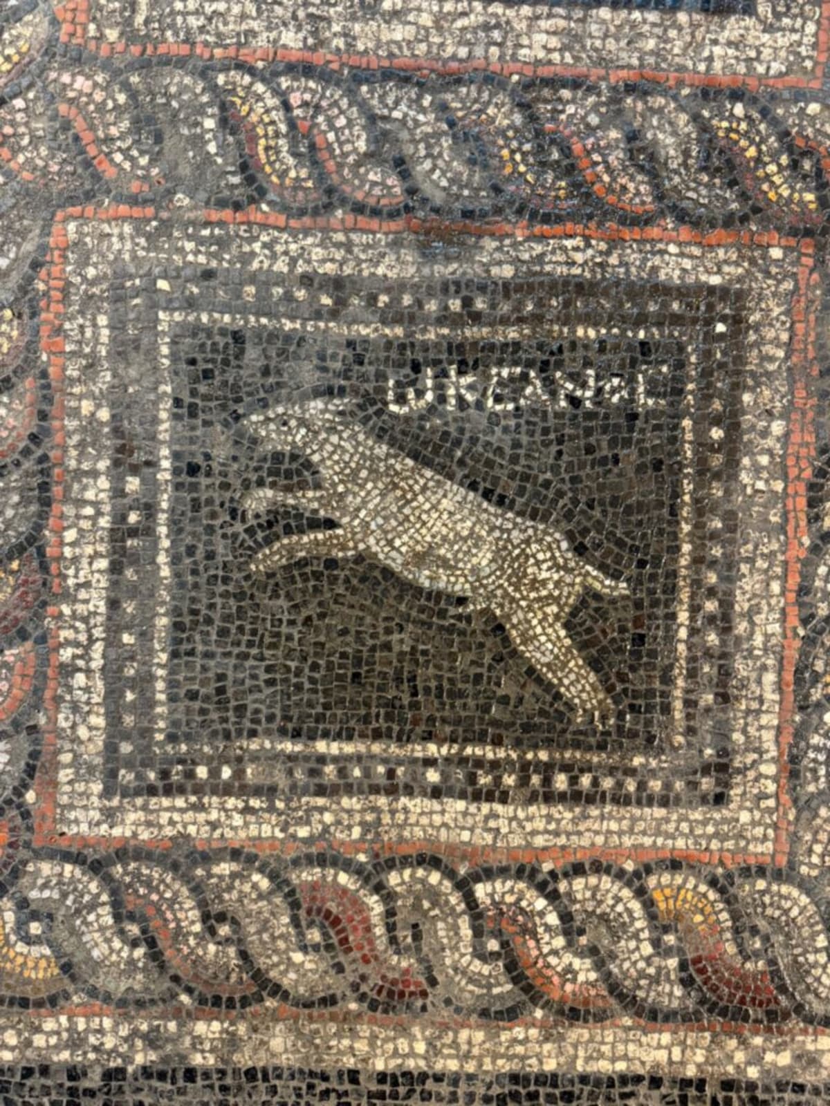 Roman Mosaic Names 1,800-Year-Old Pets Emerald and Ocean - Image 3