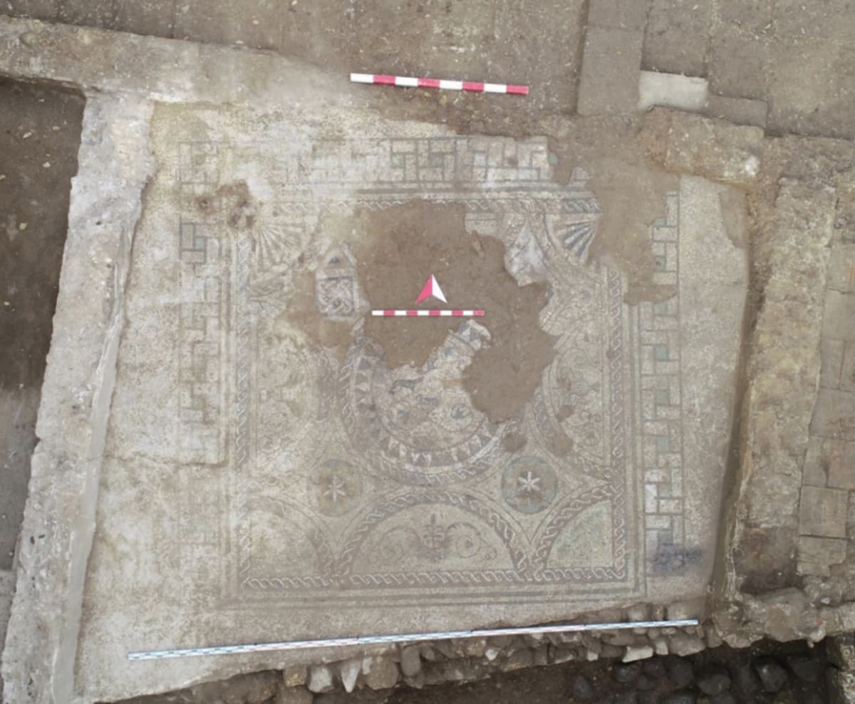 Roman Mosaic Names 1,800-Year-Old Pets Emerald and Ocean - Image 4