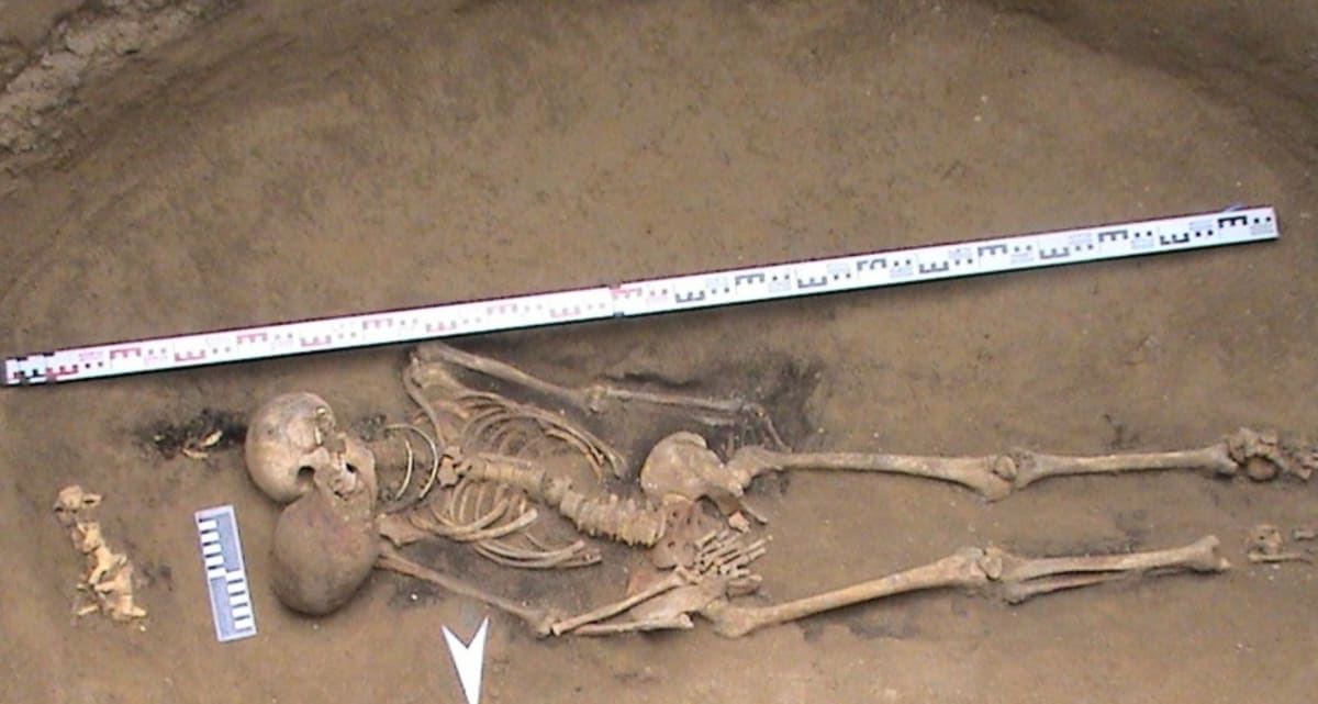 2,300-Year-Old Golden Headdress Found in Altai Burial - Image 2