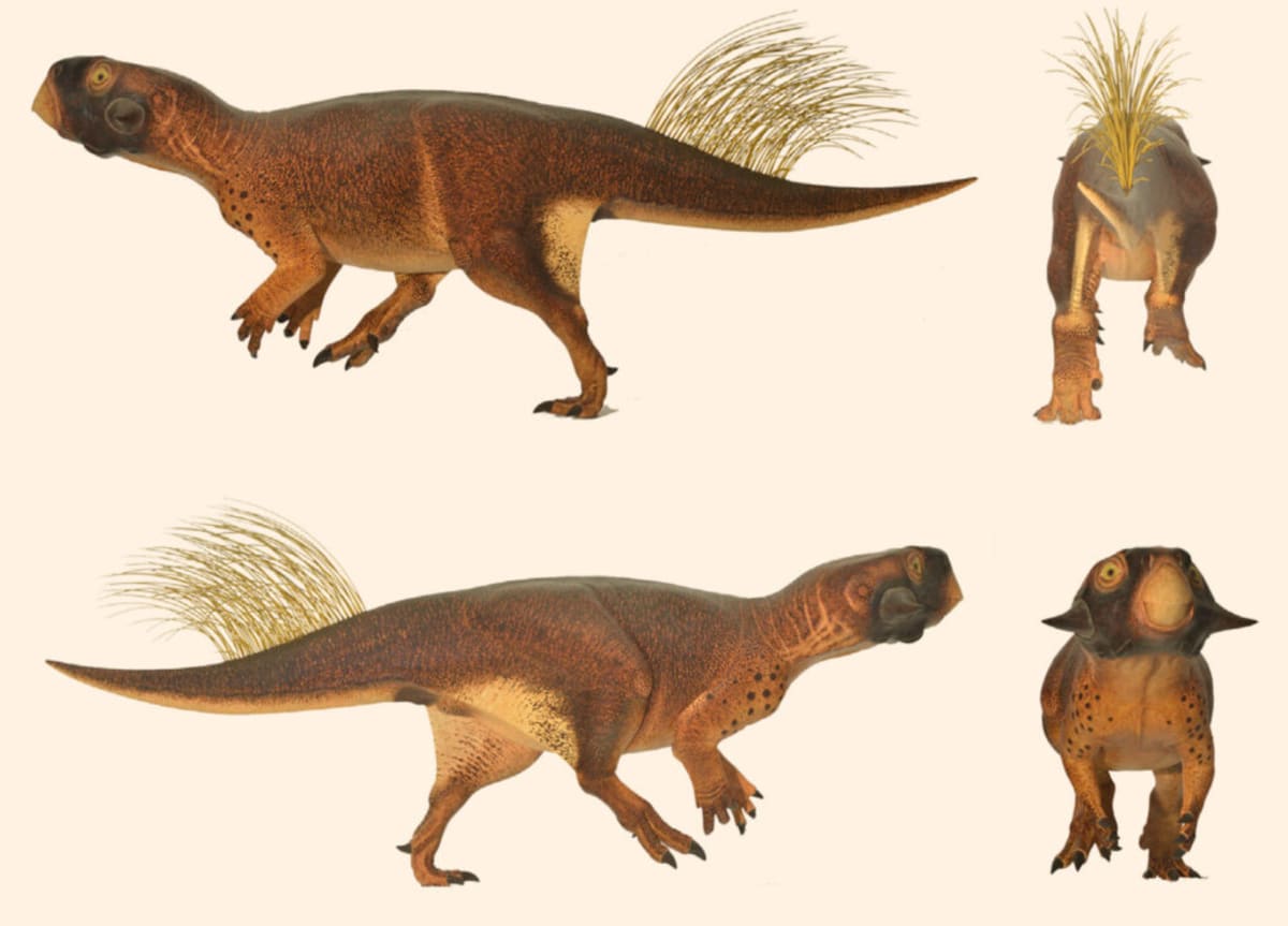 115-Million-Year-Old Dinosaur Found 473 Meters Underground - Image 2