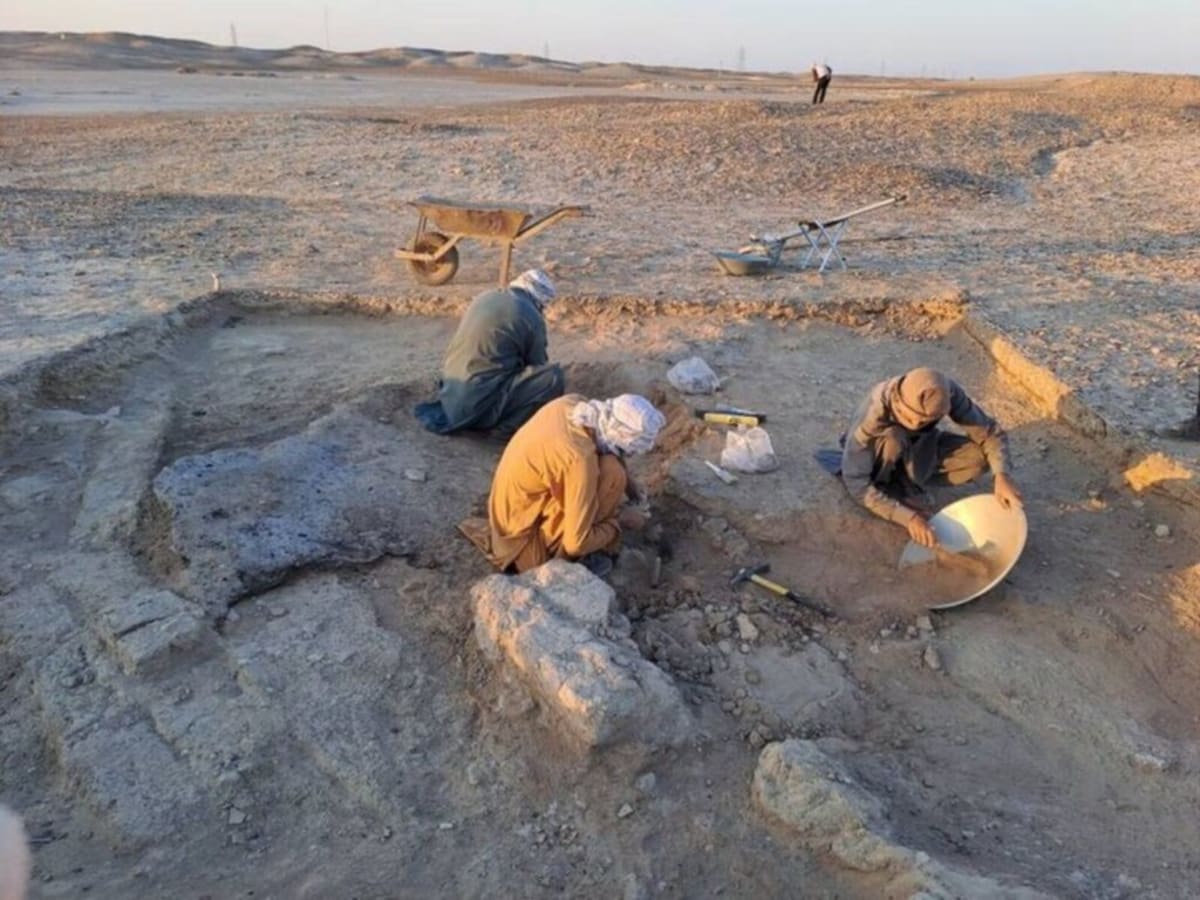 Iran's Burnt City Reveals Second Ancient Board Game - Image 2