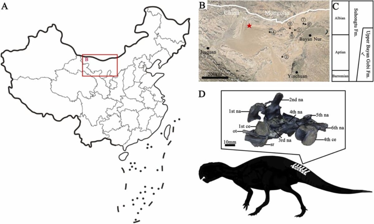 115-Million-Year-Old Dinosaur Found 473 Meters Underground - Image 3