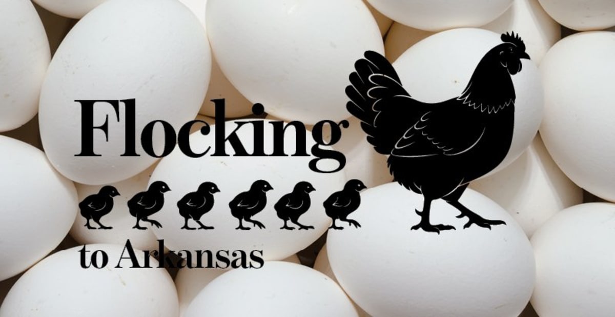Arkansas Poultry Industry Creates 150,000 Jobs