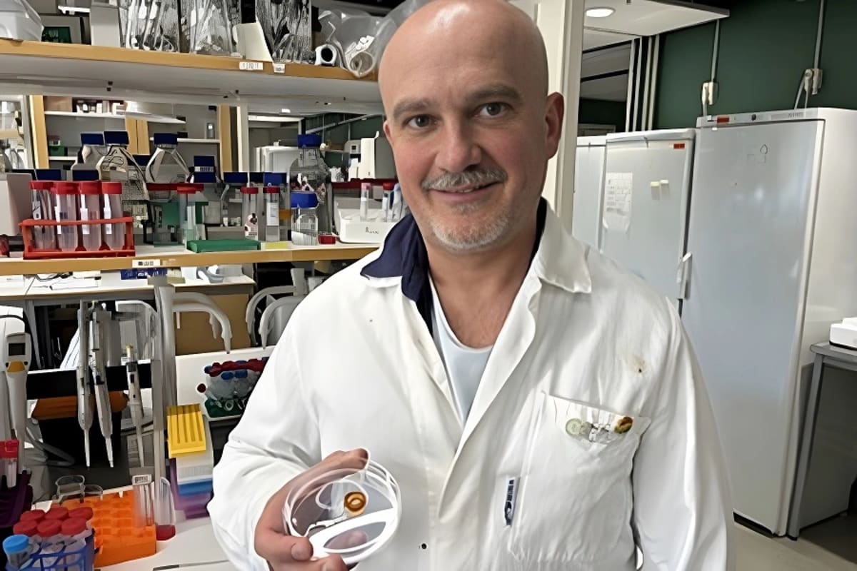 Swedish Scientists Turn Wheat Waste Into Better Plant Foods