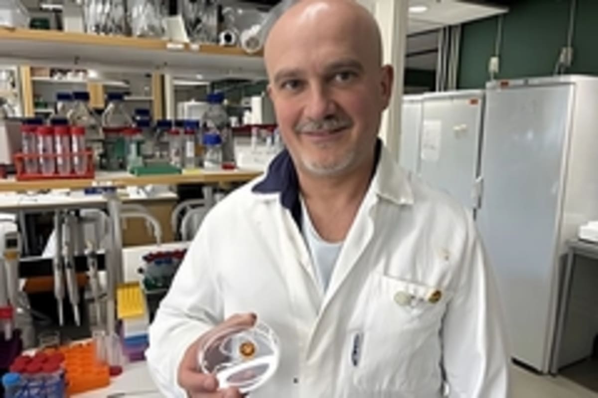 Swedish Scientists Turn Wheat Waste Into Better Plant Foods - Image 4