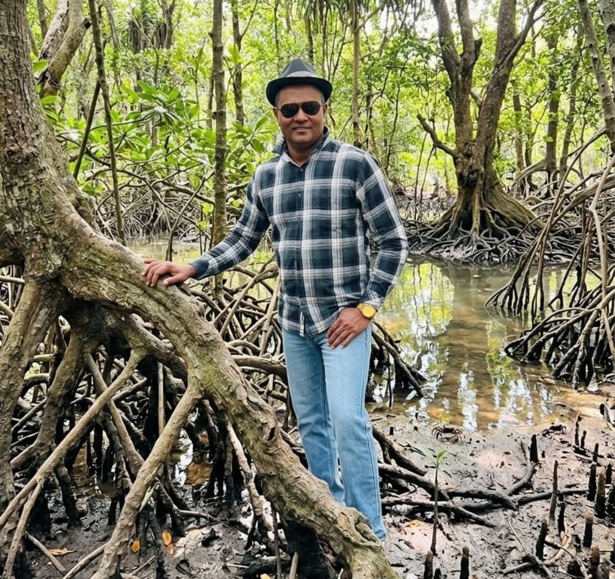 Volunteers planting young mangrove trees in coastal wetlands in Sri Lanka's Western Province