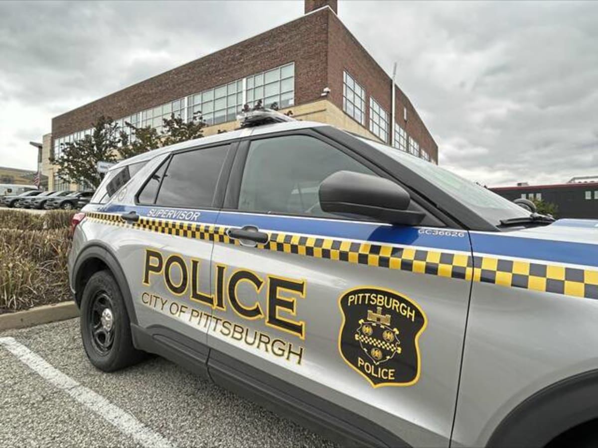Stranger Holds Man Above Freezing Pittsburgh River Until Help Arrives - Image 5