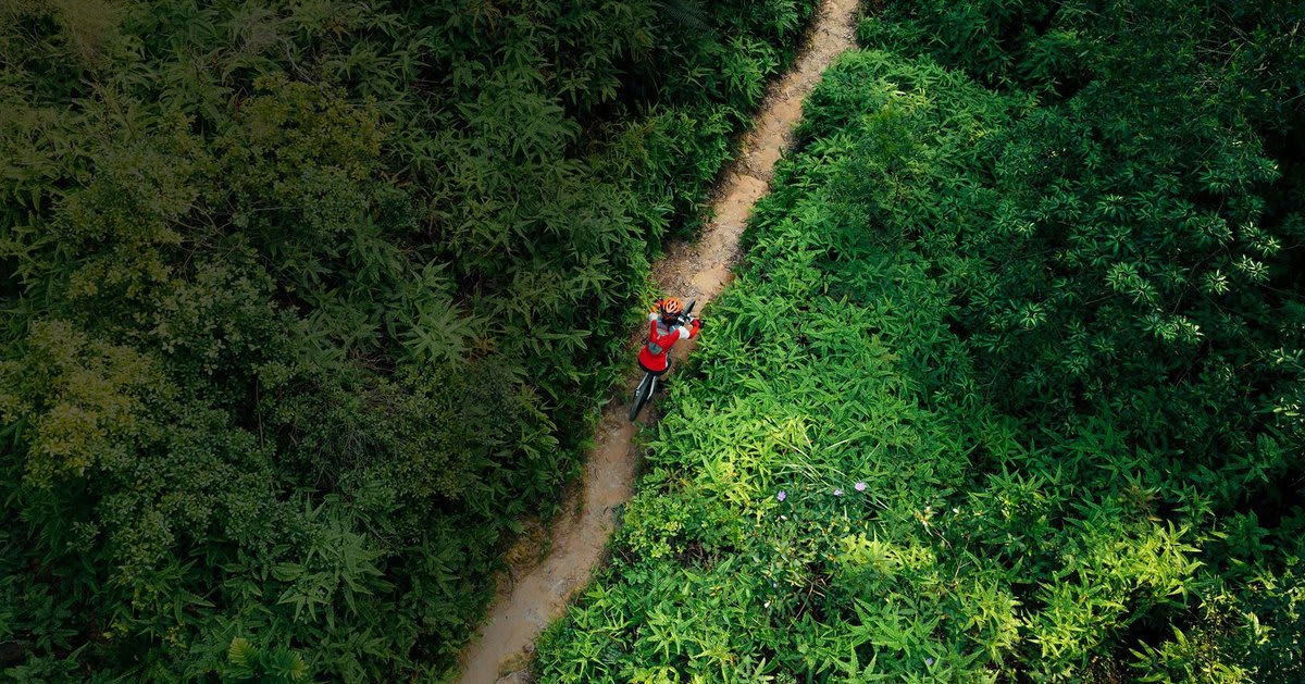Novo Nordisk & re.green Restore 500 Hectares of Amazon