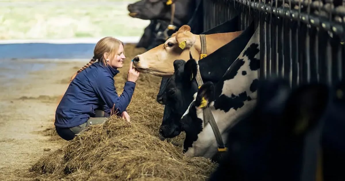 Barry Callebaut and Arla Team Up to Cut Dairy Emissions