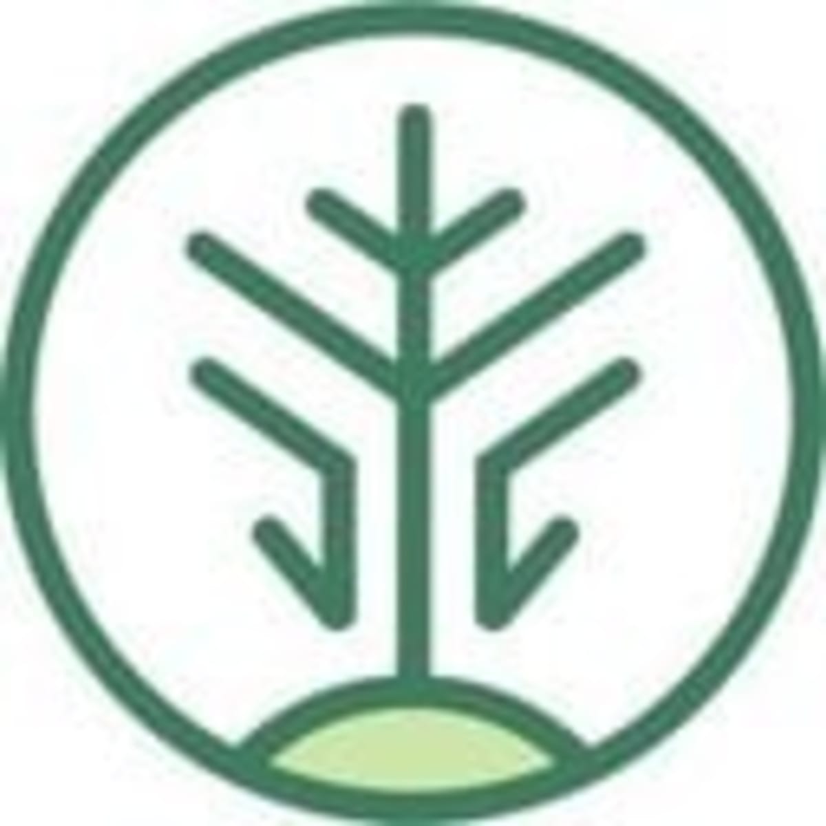$500M Forest Revival to Remove 45M Tonnes of CO₂ - Image 4