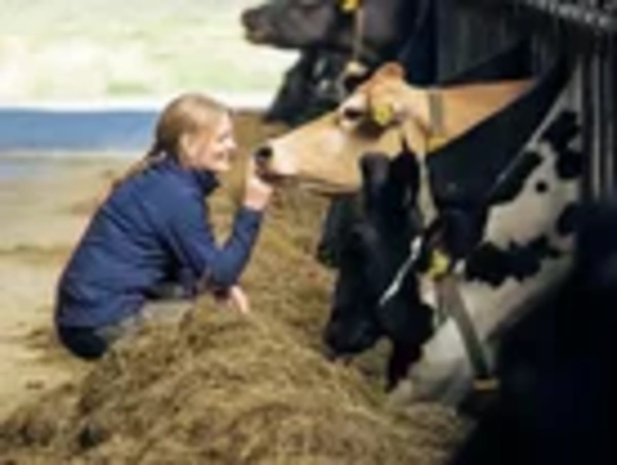 Barry Callebaut and Arla Team Up to Cut Dairy Emissions - Image 2