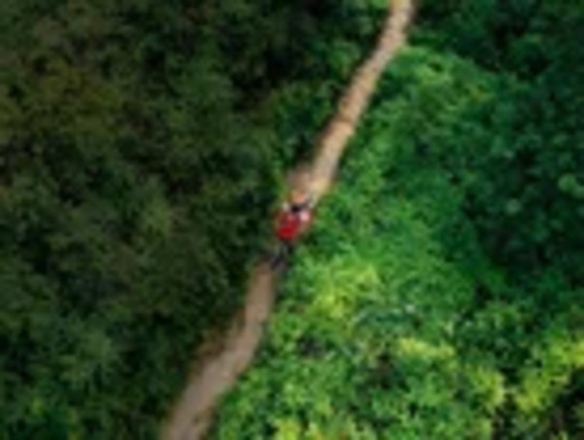 Novo Nordisk & re.green Restore 500 Hectares of Amazon - Image 2