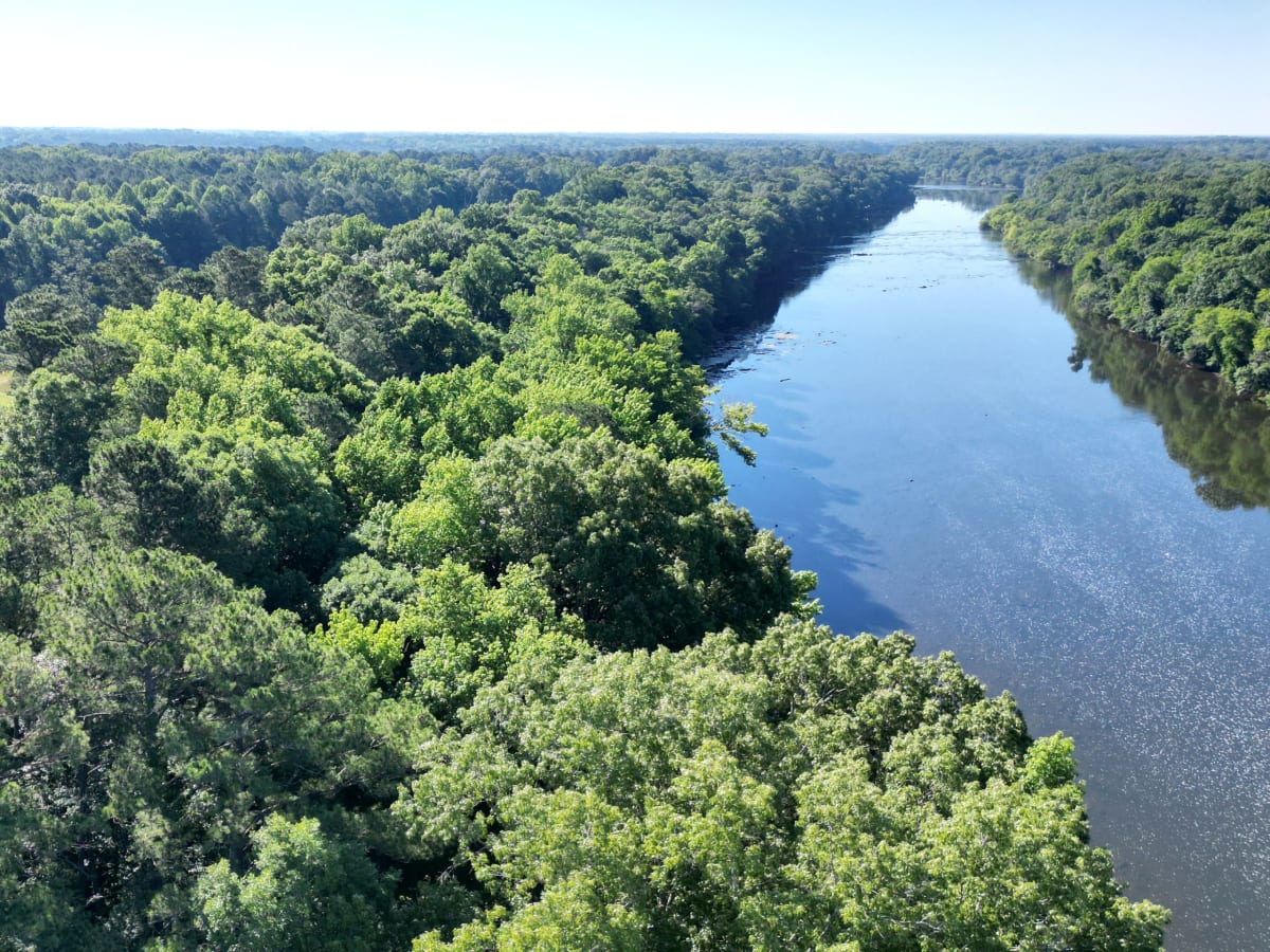 Campbell University Reforests 300 Decaying Acres
