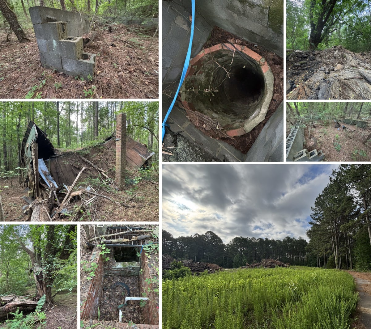 Campbell University Reforests 300 Decaying Acres - Image 3