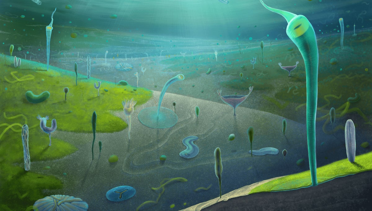 Ancient Fossils Fill Gap Before Life's Cambrian Explosion