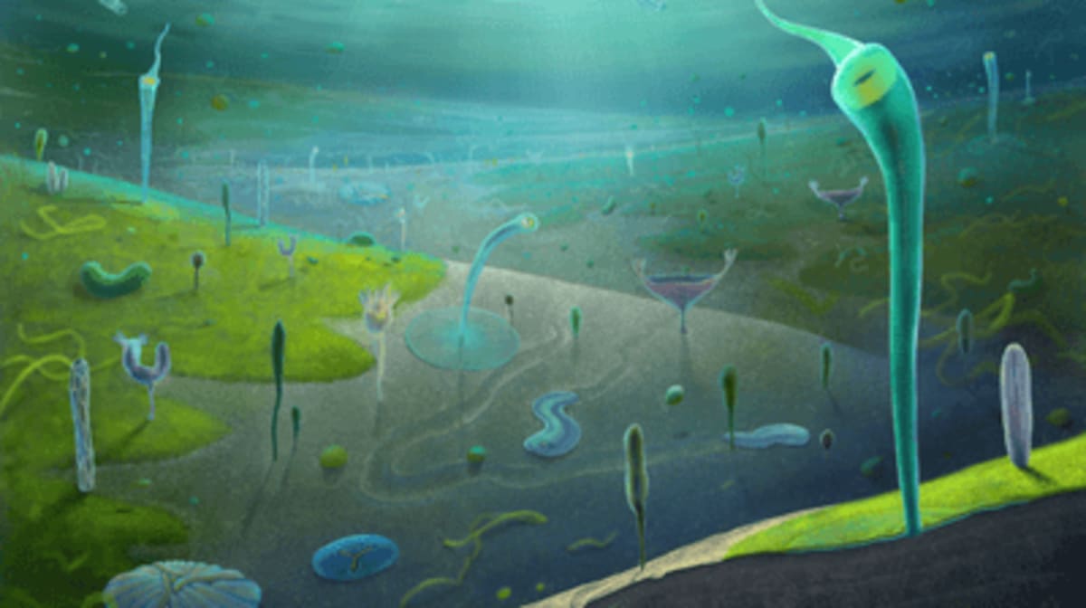 Ancient Fossils Fill Gap Before Life's Cambrian Explosion - Image 2