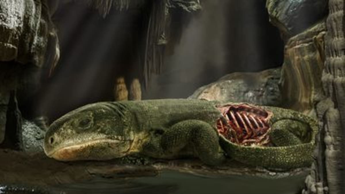 289-Million-Year-Old Fossil Shows How We Learned to Breathe - Image 2