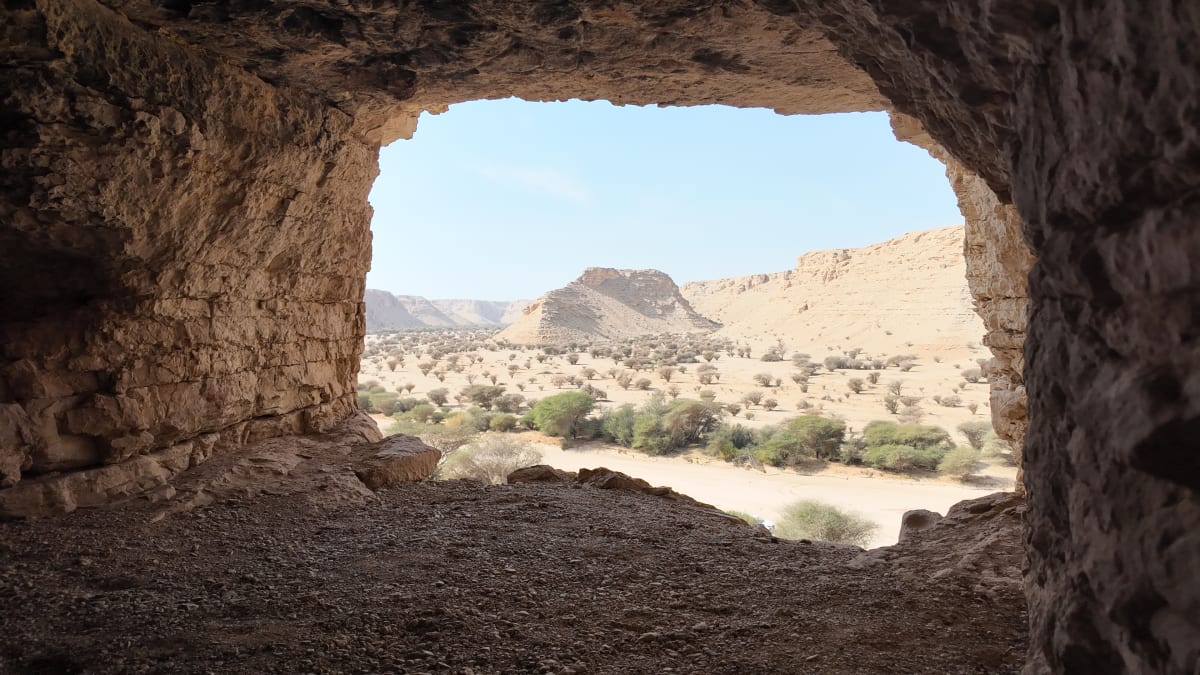 Saudi Arabia Opens 103 Green Sites for $133M Investment
