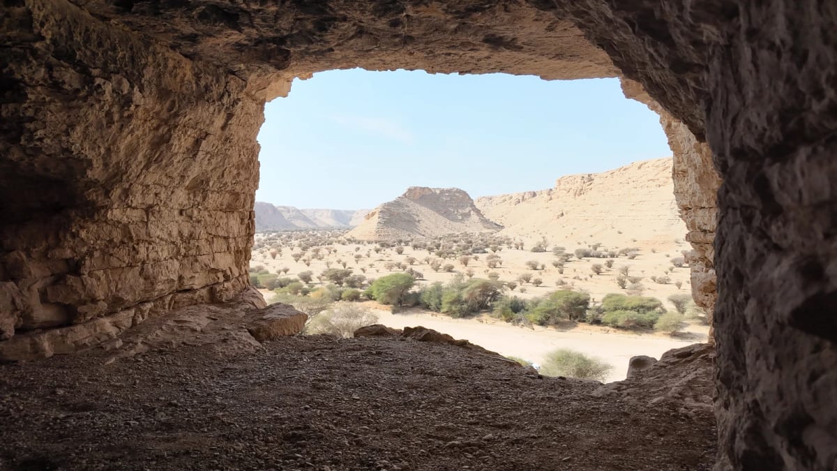Saudi Arabia Opens 103 Green Sites for $133M Investment - Image 2