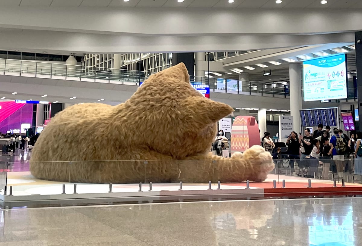 Giant 26-Foot Cat Naps Inside Hong Kong Airport - Image 5