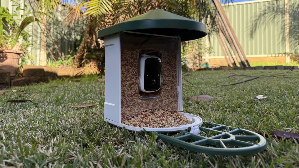 Solar Bird Feeder Brings Wildlife to Your Phone Screen - Image 2