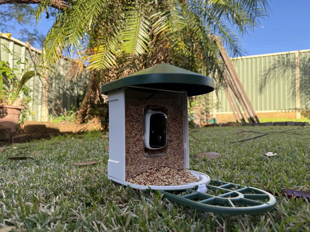 Solar Bird Feeder Brings Wildlife to Your Phone Screen - Image 4