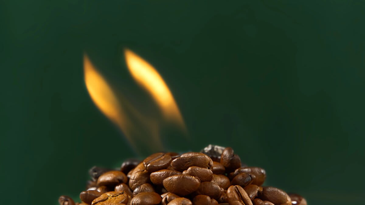 Scientists Turn Wet Coffee Grounds Into Fuel in 90 Seconds - Image 2