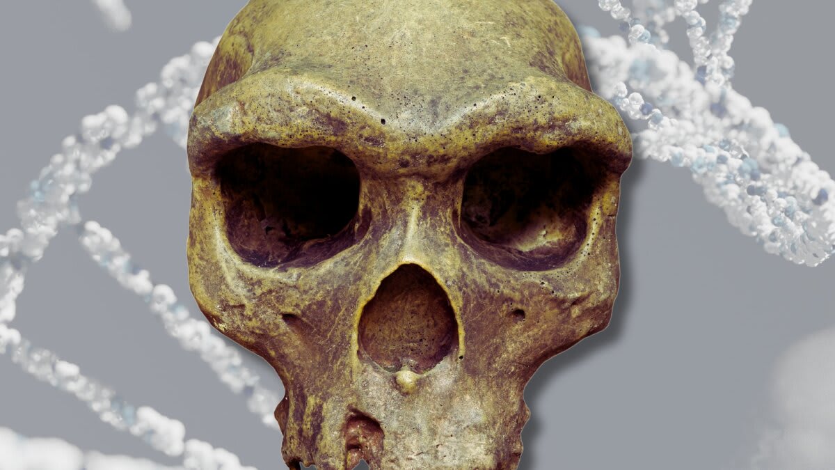 Ancient Humans Left Genetic Gifts in Modern DNA - Image 2