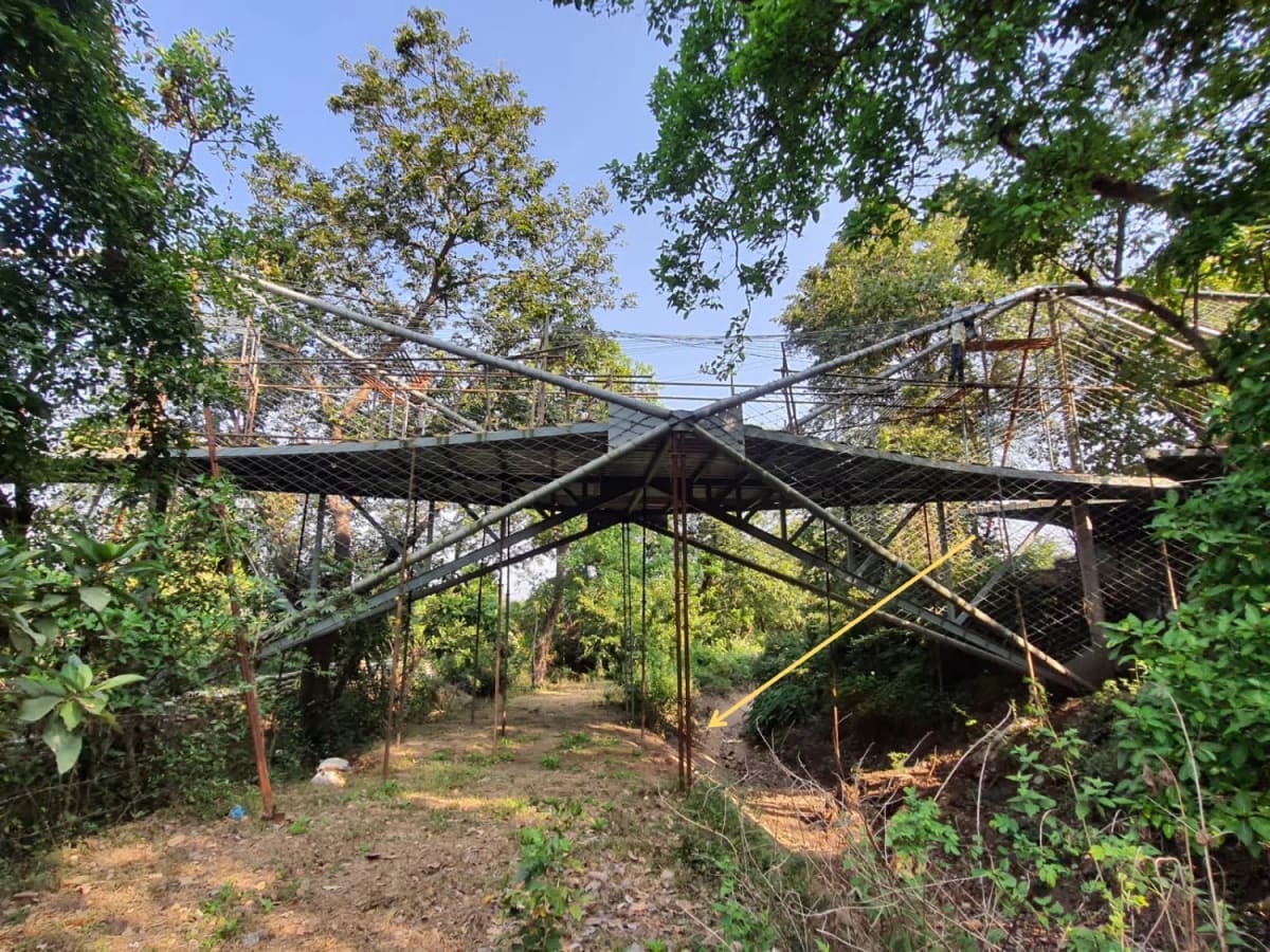 India's 100-Foot Bridge House Floats Over Two Streams - Image 5