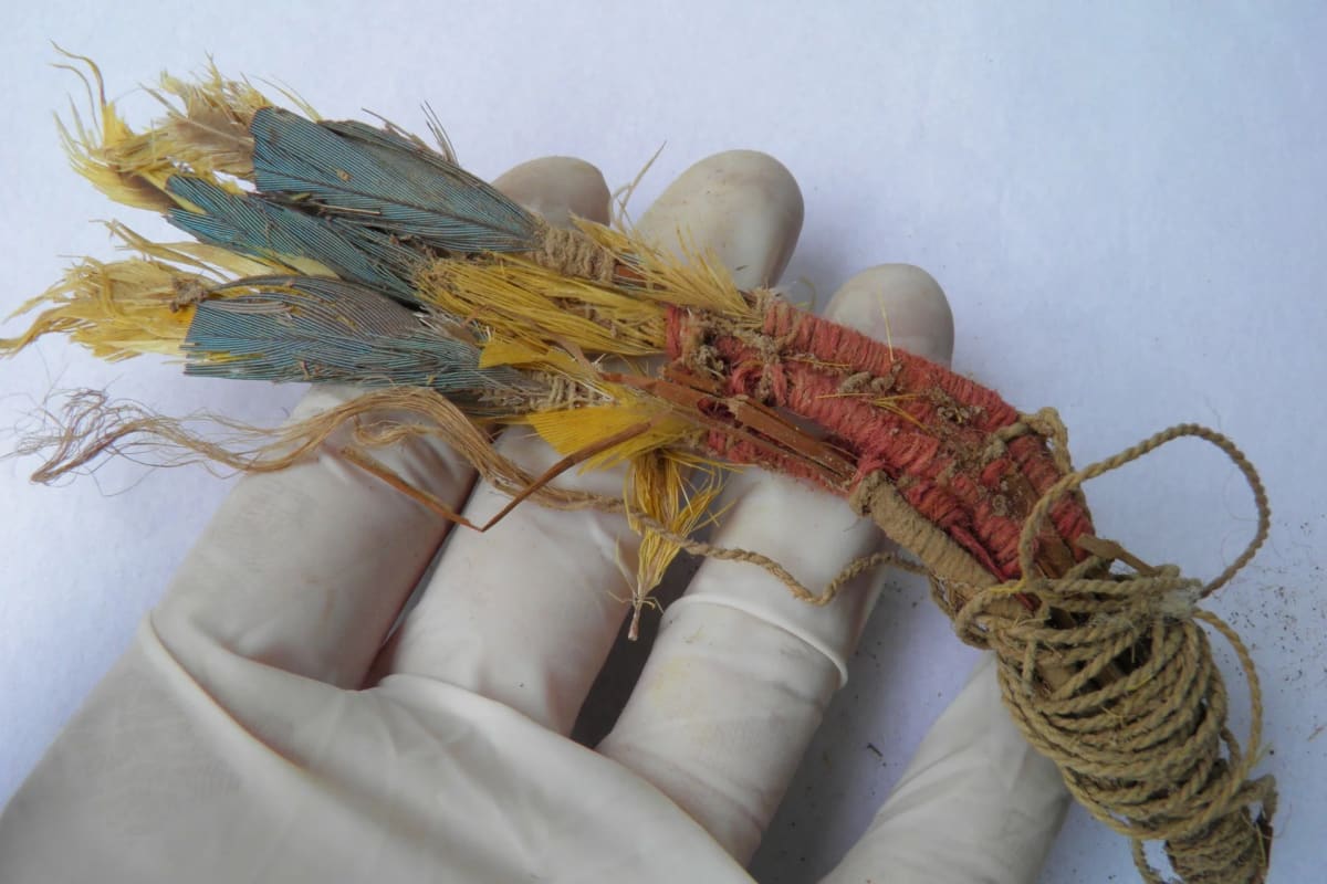 Ancient Parrot Feathers Reveal 1,000-Year Trade Network - Image 5